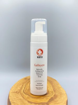 Galleyon Antibacterial Soap (210 ml)